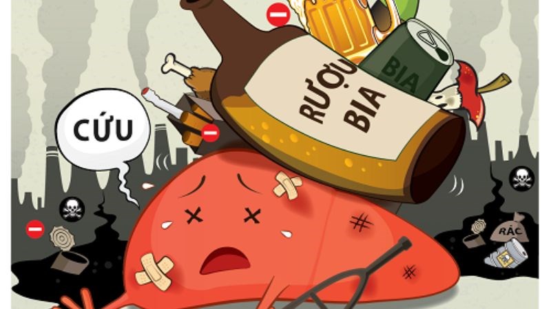 Rượu bia làm giảm chức năng gan và ảnh hưởng đến khả năng chuyển hóa 