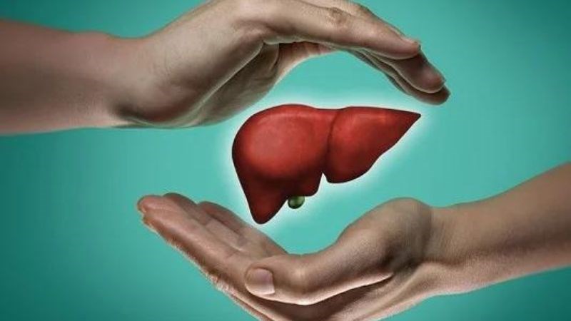 Rượu bia khiến gan bị tổn thương, tạo điều kiện cho sự phát triển của mô sẹo và xơ hóa gan