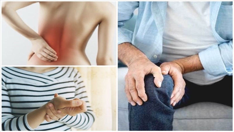 Chiết xuất cây bìm bịp có hiệu quả ngăn chặn tình trạng viêm và protease dị hóa như diclofenac, giúp ngăn ngừa viêm xương khớp