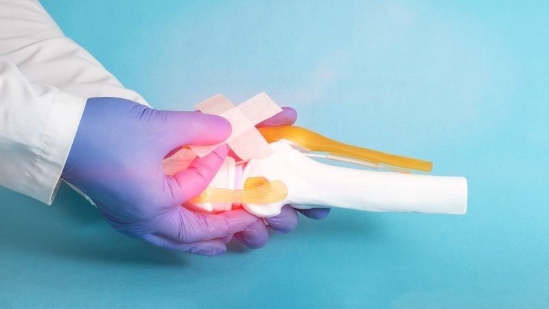 Cây bìm bịp có khả năng hỗ trợ điều trị đau xương và gãy xương một cách tích cực
