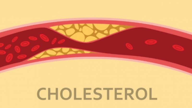 Tiêu thụ đậu bắp có thể giúp giảm mức cholesterol và chất béo trung tính trong cơ thể