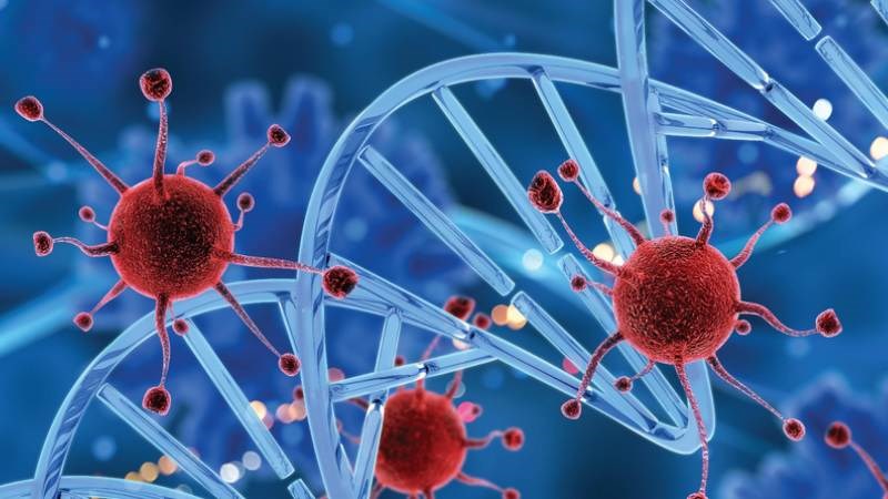 Đậu bắp chứa protein lectin có thể ức chế sự phát triển của tế bào ung thư ở người
