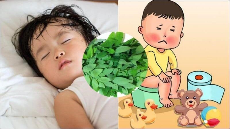 Rau sắng có tác dụng chữa đổ mồ hôi trộm, táo bón ở trẻ em