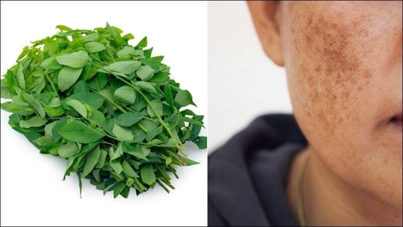Rau sắng giúp điều trị nám da