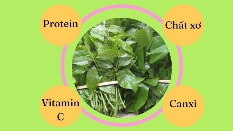 Rau sắng chứa rất nhiều chất dinh dưỡng như protein, chất xơ, kẽm...