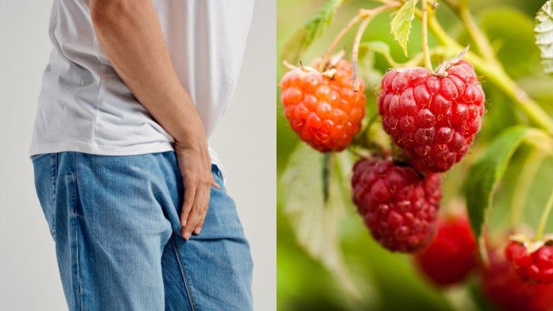Bài thuốc kết hợp mâm xôi, hải sâm, ích trí nhân, nhục quế và thịt dê giúp trị thận hư và liệt dương
