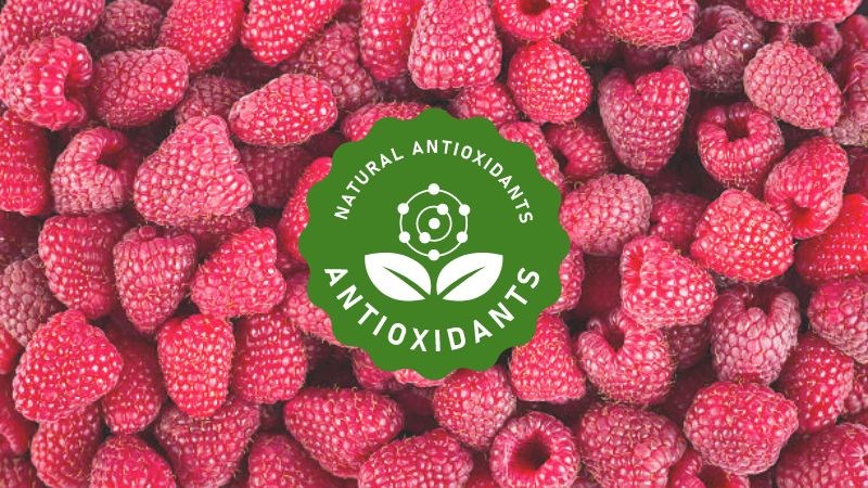 Quả mâm xôi chứa lượng chất oxy hóa dồi dào như vitamin C, quercerin và acid ellagic