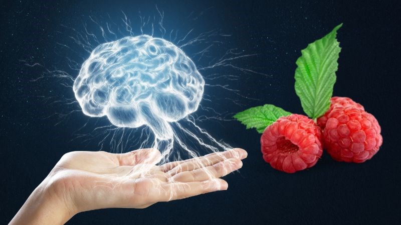Quả mâm xôi là loại thực phẩm tốt cho sức khỏe não bộ hàng đầu nhờ khả năng chống stress oxy hóa