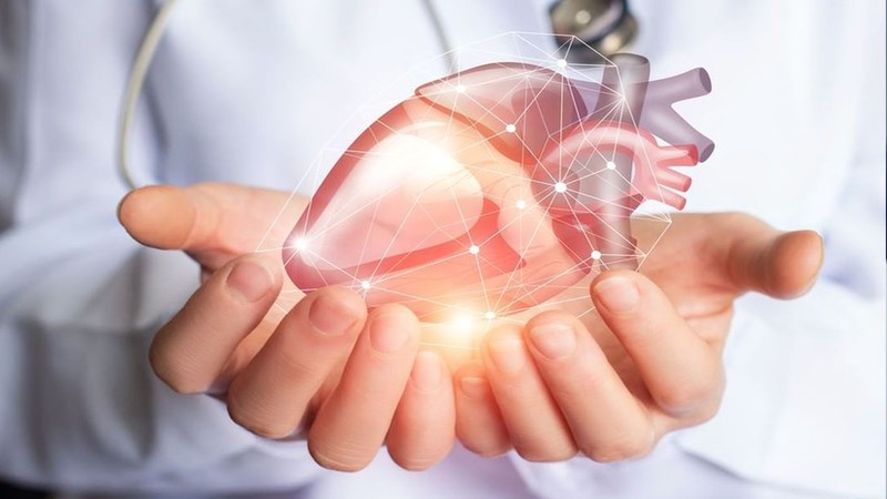 Rau lang làm giảm sự hấp thu acid béo góp phần bảo vệ sức khỏe tim mạch
