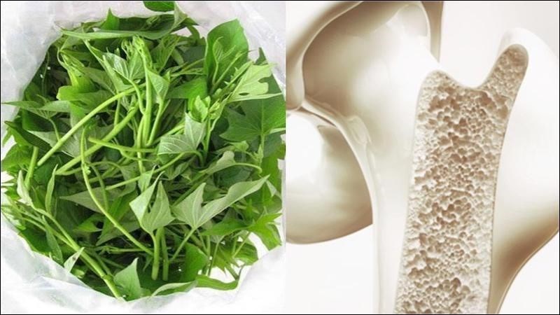 Rau lang giàu canxi giúp ngăn ngừa loãng xương, hồi phục nhanh sau gãy xương