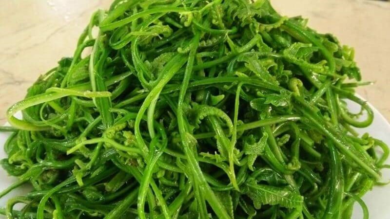 Rau dớn có thể luộc như những loại rau thông thường khác