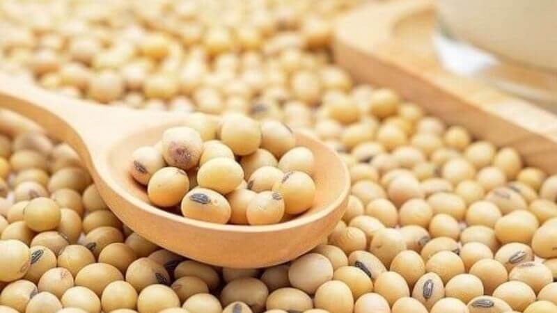 Người nhóm máu A nên ăn các thực phẩm từ đậu nành