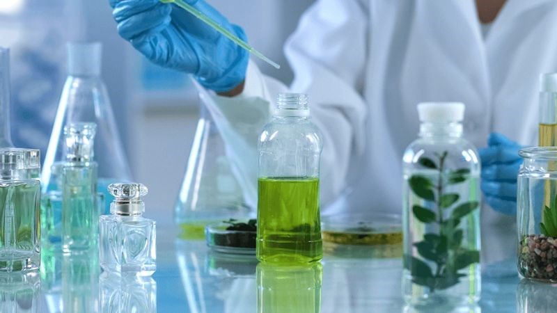Lá thạch anh chứa flavonoid nên có tính kháng viêm