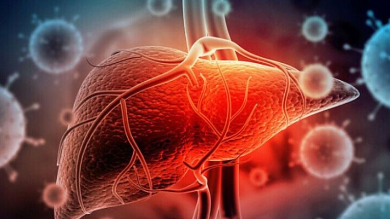 Chưa có nghiên cứu cho thấy cây thạch anh có thể chữa ung thư gan