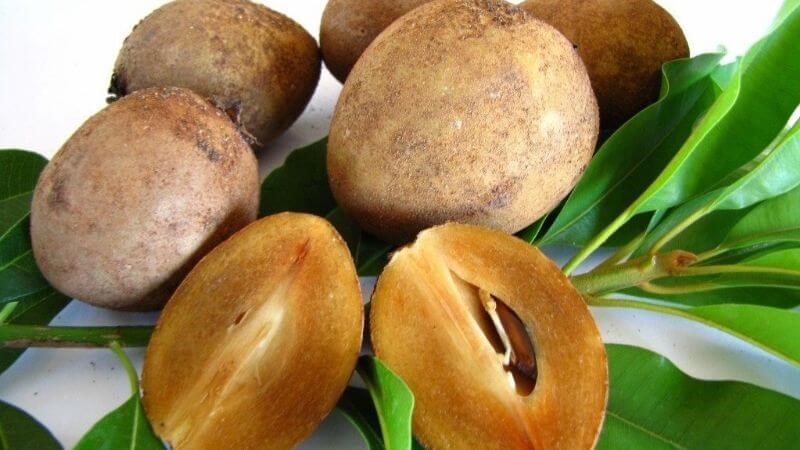 Hồng xiêm (còn gọi là sapodilla) là một loại cây thường xanh có nguồn gốc từ Mexico, Caribe và Trung Mỹ