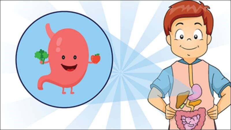 Hồng xiêm cung cấp 9 gam chất xơ mỗi quả, giúp tăng cường sức khỏe đường ruột, tạo cảm giác no lâu và kiểm soát lượng đường trong máu