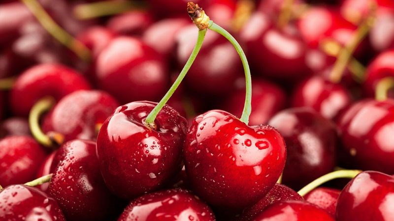 Quả anh đào có chứa rượu Perillyl (POH) hiệu quả trong việc tiêu diệt nhiều loại tế bào ung thư 