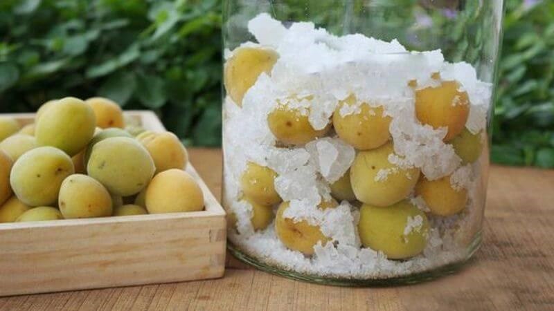 Cách chế biến mơ ngâm đường Cách chế biến mơ ngâm đường