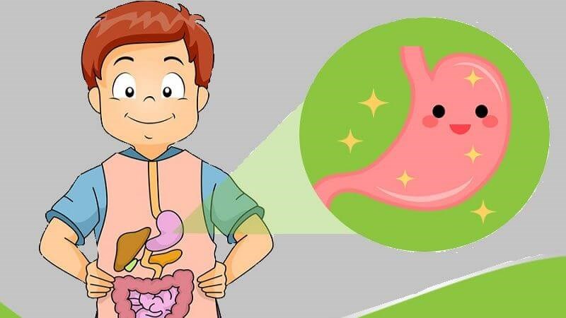 Quả mơ giàu chất xơ hỗ trợ vi khuẩn có lợi trong đường ruột và làm trì hoãn sự di chuyển của thức ăn qua đường tiêu hóa Quả mơ giàu chất xơ hỗ trợ vi khuẩn có lợi trong đường ruột và làm trì hoãn sự di chuyển của thức ăn qua đường tiêu hóa