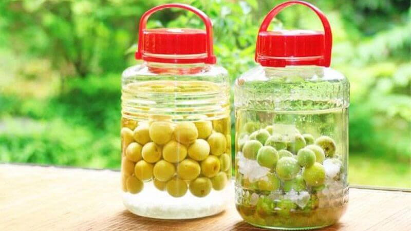 Quả mơ có tác dụng gì với sức khỏe? Quả mơ có tác dụng gì với sức khỏe?