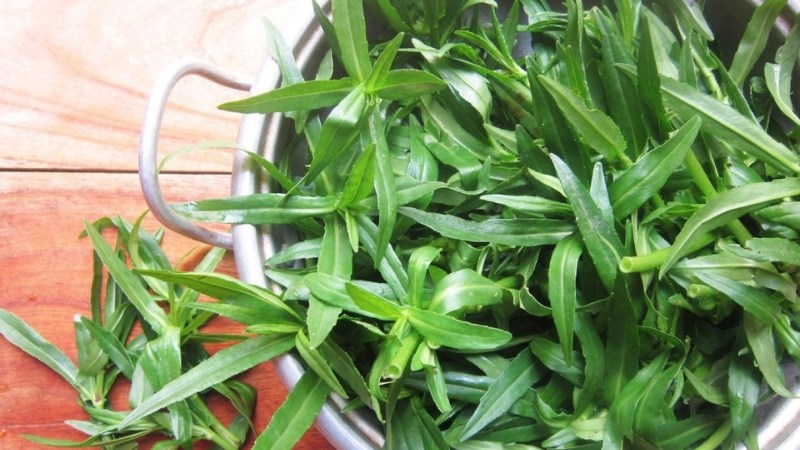 Rau ngổ chứa nhiều dưỡng chất như vitamin B, vitamin C, caroten