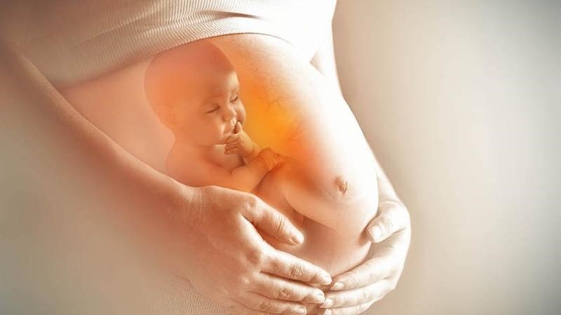 Axit folic trong măng tây hỗ trợ ngăn ngừa các khuyết tật bẩm sinh của thai nhi