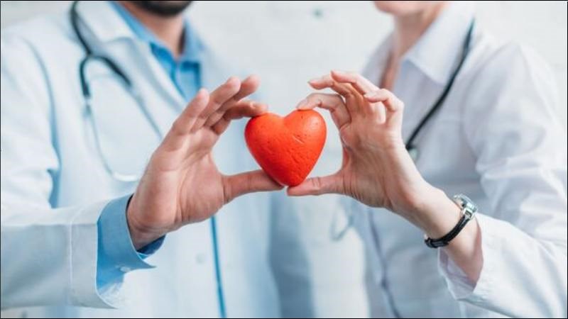 Cải kale cung cấp nhiều chất dinh dưỡng hỗ trợ sức khỏe tim mạch