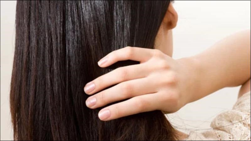 Cải kale cung cấp dinh dưỡng giúp duy trì sức khỏe cho tất cả các mô trong cơ thể, bao gồm cả da và tóc