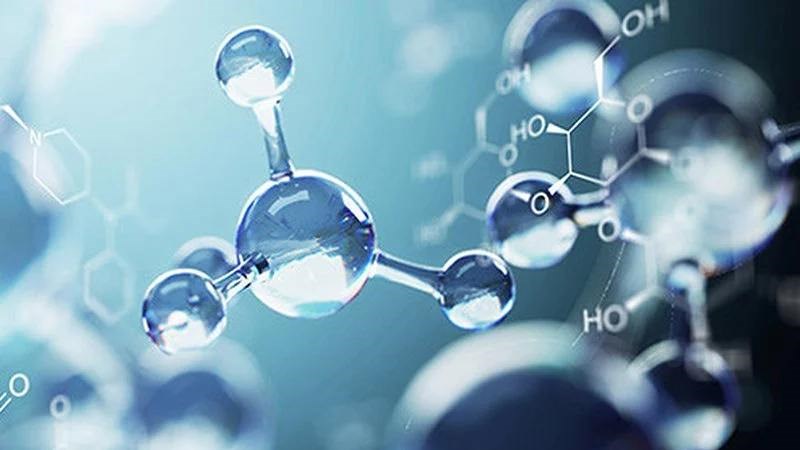 Cải kale là nguồn thực phẩm giàu chất chống oxy hóa