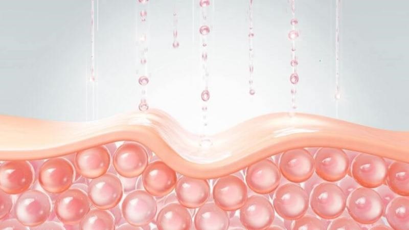 Cải kale cung cấp vitamin C hỗ trợ quá trình tổng hợp collagen cho cơ thể