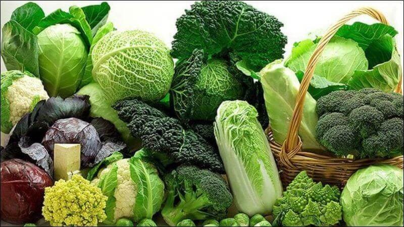 Chất xơ trong rau đóng vai trò thiết yếu trong việc thúc đẩy quá trình liền sẹo