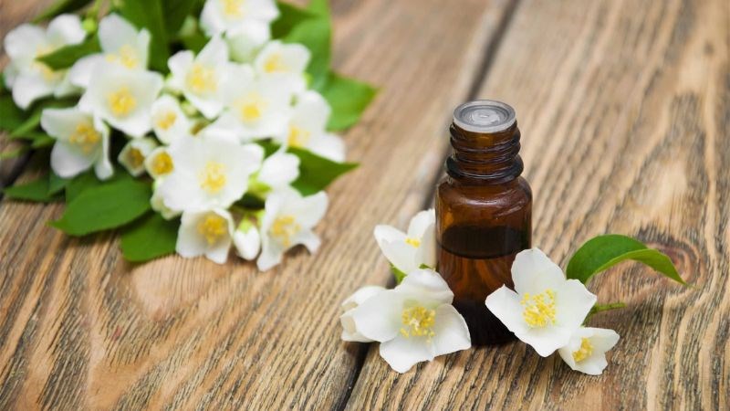 Khi sử dụng tinh dầu hoa nhài cần lưu ý một số trường hợp 