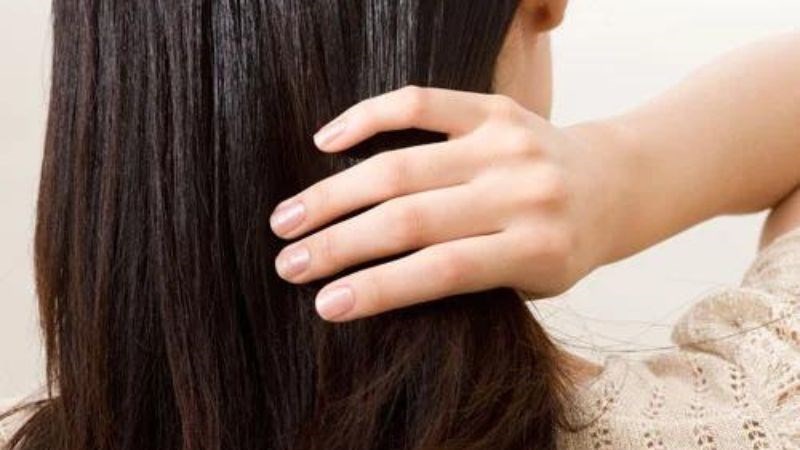Giá đỗ cung cấp nhiều chất dinh dưỡng như kẽm, vitamin giúp bổ sung dưỡng chất cho tóc và móng