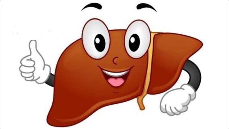 Lecithin trong giá đỗ giúp kiểm soát cholesterol và giảm mỡ gan