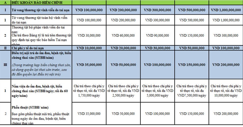 Điều khoản bảo hiểm chính (1)