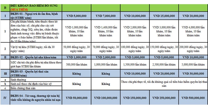 Điều khoản bảo hiểm bổ sung (Mua thêm)