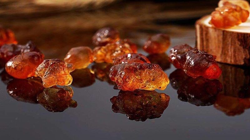 Phụ nữ mang thai không nên ăn nhựa đào