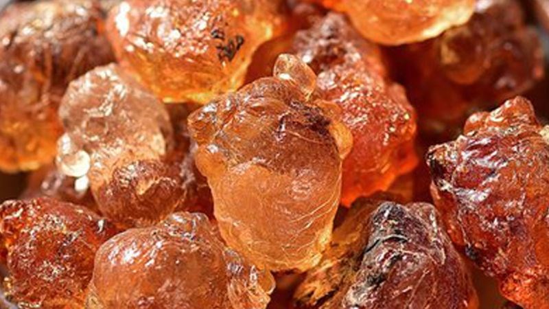 Nhựa đào có hàm lượng protein cao, ăn nhiều tăng gánh nặng cho thận
