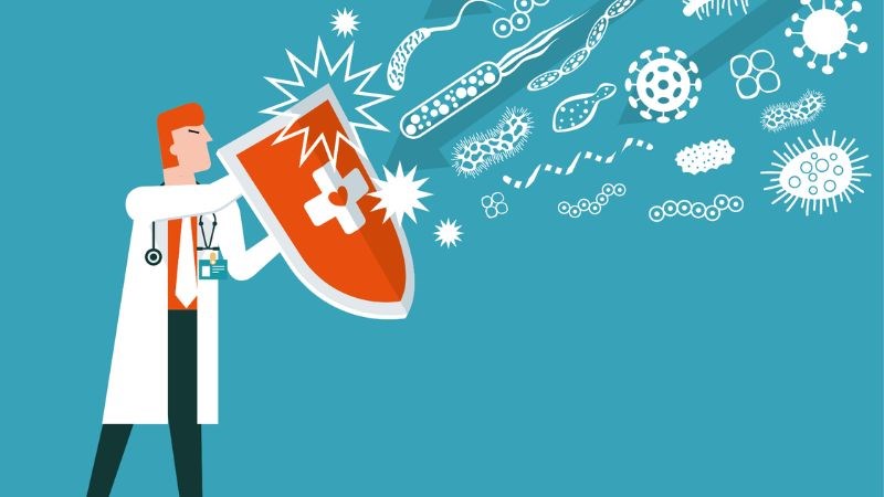 Nhựa đào có khả năng thúc đẩy hệ miễn dịch hoạt động hiệu quả