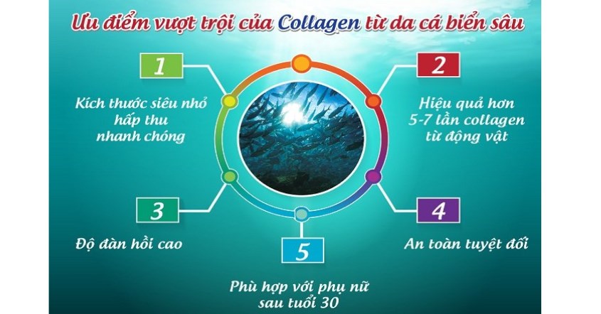 Collagen từ da cá ngừ đại dương có độ tương thích đến 99% cơ thể người