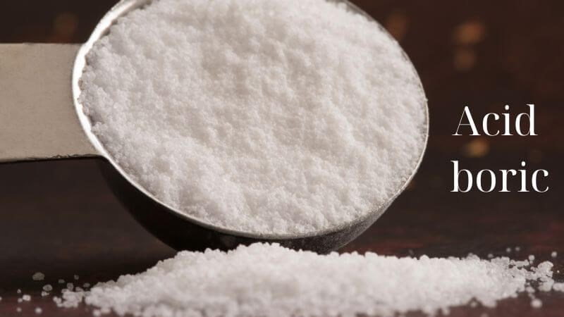 Acid boric kết hợp với kh&aacute;ng sinh mang lại hiệu quả trong điều trị nhiễm khuẩn &acirc;m đạo