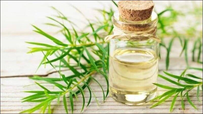 Sử dụng tinh dầu c&acirc;y tr&agrave; để điều trị vi&ecirc;m phụ khoa c&oacute; thể xuất hiện phản ứng dị ứng