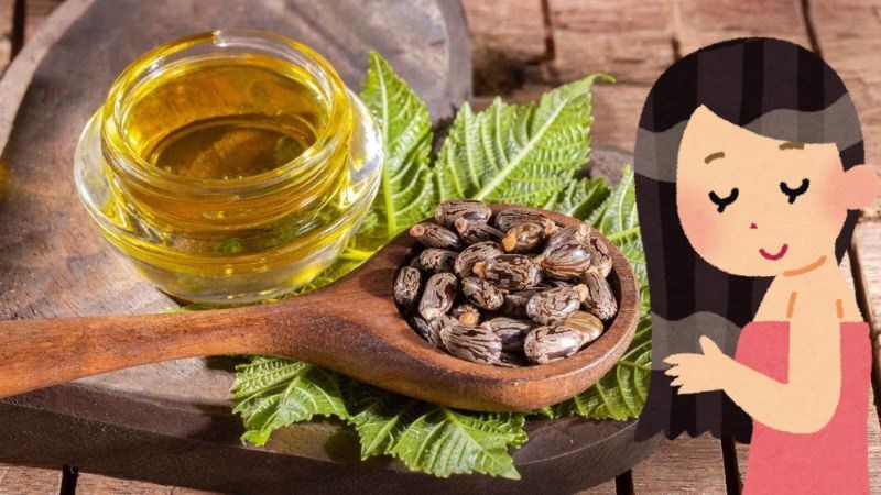 Đặc tính chống viêm của dầu thầu dầu có thể giúp điều trị gàu