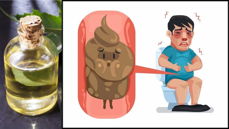 Dầu thầu dầu có tác dụng nhuận tràng, trị táo bón