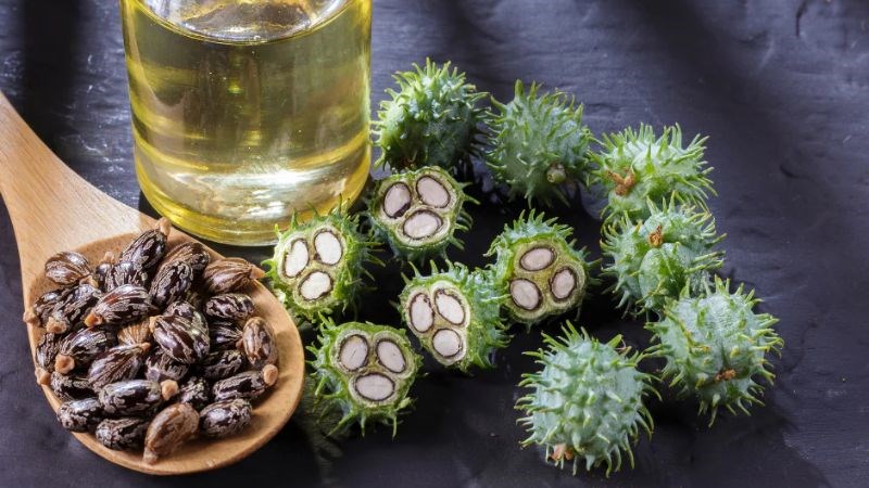 Dầu thầu dầu cung cấp độ ẩm và bôi trơn cho mắt