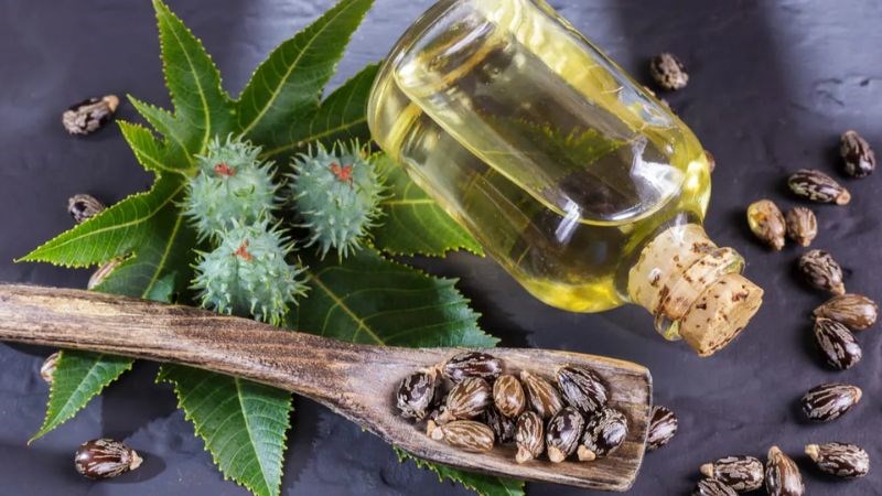 Dầu thầu dầu có khả năng chống viêm hiệu quả