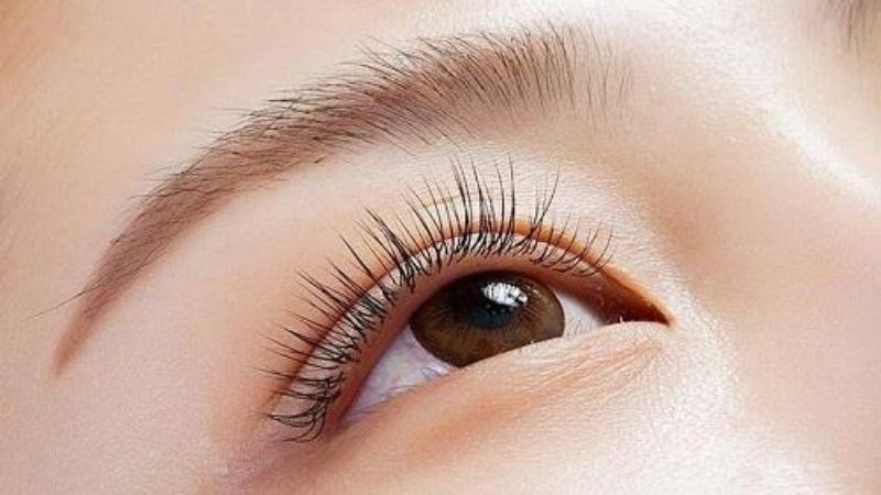 Thoa dầu thầu dầu để kích thích mọc lông mi, lông mày