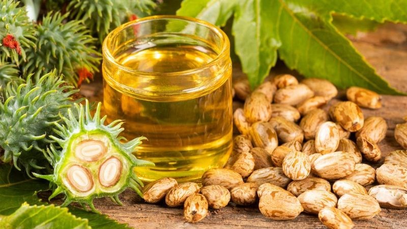 Dầu thầu dầu giúp ngăn ngừa nếp nhăn và quầng thâm mắt