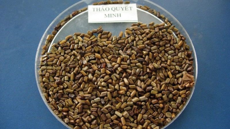 Thảo quyết minh được dùng với liều thông thường khoảng 5 – 10 g trong ngày