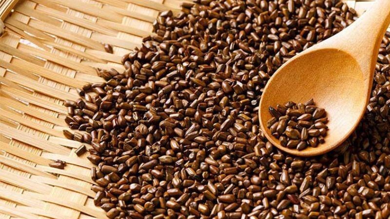 Hạt thảo quyết minh chứa nhiều thành phần hóa học khác nhau
